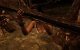 Tomb Raider: Die PC-Version im PCGH-Test - Kann die Grafik überzeugen? (44)