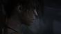 Tomb Raider PC maxed out (2)
