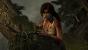 Tomb Raider PC maxed out (3)