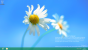 Windows Blue: Vermarktung als Windows 8.1?