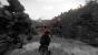 Arma 3 Alpha im PCGH-Test (3)