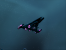 Star Trek Armada 2: Fleet Operations (4)