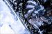 Gigabyte GTX 670 4GB OC Windforce 3X: Großer Test im PCGHX-Forum (2)