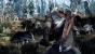A single wolf might not be a problem but Geralt needs to be on top of his game when he squares off against a whole pack of these bloodthirsty creatures.