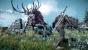 The Witcher 3: Wildhunt - E3-Screenshots (12)