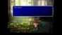 Final Fantasy 7 (25)