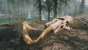 Skyrim mit PCGH-ENB