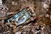 Extrem-Test: Outdoor-Smartphone Galaxy Xcover 2 (11)