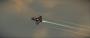 Star Citizen: Neue Bilder und Artworks zur Gamescom (12)