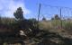 Arma 3 Technik-Test mit Benchmarks: Beinahe Traditionell Probleme ohne Ende (10)