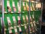 Retro-Gaming auf der Gamescom 2013 (20)