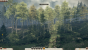 Rome 2 Schalterdetails Baeume niedrig 31 Fps