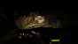 Outlast - Indie-Horror der Extraklasse (4K) (12)