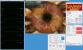 AMD Radeon R9 290X Chiphell Furmark