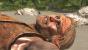 Assassins Creed: Black Flag - Die Figuren sind mit recht detaillierten Texturen versehen, doch auf grafischem Top-Niveau sind auch die Hauptcharaktere nicht