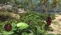 Assassins Creed: Black Flag - Auch schleichen funktioniert wieder
