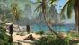 Assassins Creed: Black Flag