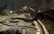 Call of Duty: Ghosts - Aufgebohrte Partik-Eeffekte