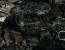 Call of Duty Ghosts: Fur Patch (2)