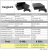 Testtabelle