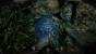 Call of Duty Ghosts PC: Ultra HD (8)