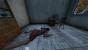 Day-Z: Alpha-Version im PCGH-Test (10)