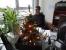 Manchmal reichen auch Bilder statt vieler Wort und selbst Chef-Layouter Frank schaut stumm auf unseren kleinen aber feinen Weihnachtsbaum mit Toilettenspitze ;-). 
In diesem Sinne wünschen wir allen PCGH-Lesern ein frohes Weihnachtsfest und einen guten Rutsch ins neue Jahr 2014!
Bleiben Sie uns und dieser Kolumne treu :)