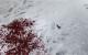 Skyrim maxed Graphics - Blut und Vöglechen