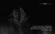 Skyrim maxed Graphics - Statt unzähliger Tipps, die man nach 200 Stunden Skyrim nicht mehr sehen kann: Lore-Based Loading Screens mit Informationen zur Geschichte und Buch-Zitaten
