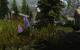 Skyrim maxed Graphics - Nach einigem Herumprobieren funktioniert auch die HD-Flora