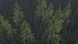 The Walking Dead Season 2: PCGH-Review (15)
