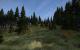 DayZ by Voodoo6000
(10)