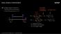 AMD TressFX 2.0