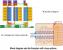 Intel Ivy Bridge-EX: Beschneidungsoptionen des 15-Cores-Dies