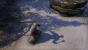 The Elder Scrolls Online im Beta-Test: Schatten im Vergleich. 1440p @ Full HD. (1)