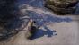 The Elder Scrolls Online im Beta-Test: Schatten im Vergleich. 1440p @ Full HD. (2)