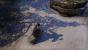 The Elder Scrolls Online im Beta-Test: Schatten im Vergleich. 1440p @ Full HD. (3)
