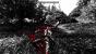 Betrayer im Test: Downsampling-Screenshots in 1440p@1080p. (4)