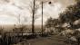 Cryengine 3 Color Correction Sepia