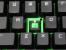 Razer Black Widow 2014: Die Neuauflage des Razer-Mechanik-Flaggschiffs mit Schaltern aus eigenem Hause im Test