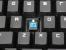 Razer Black Widow 2014: Die Neuauflage des Razer-Mechanik-Flaggschiffs mit Schaltern aus eigenem Hause im Test