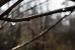 Update vom 08.03.: Foto von Hideout