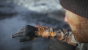 Screenshots aus Tom Clancy's The Division (17)