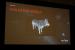 The Witcher 3 und Nvidia Hairworks: Eine haarige Angelegenheit (28)