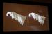 The Witcher 3 und Nvidia Hairworks: Eine haarige Angelegenheit (33)