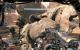 Titanfall mit Sweet FX und Downsampling (4)