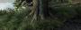 The Vanishing of Ethan Carter: Screenshots (3)