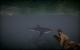 Battlefield 4: Naval Strike