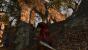 Dark Souls 2 mit Sweet Fx