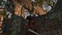 Dark Souls 2 ohne Sweet Fx
